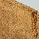 09.004_Lehmbaurplatte-D20_Platte_1a